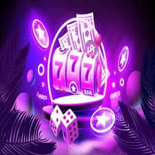 5588 bet