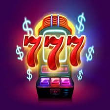 5588 bet